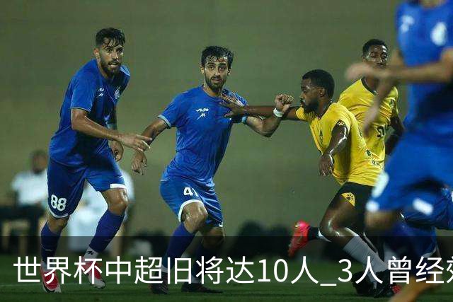 世界杯中超旧将达10人 3人曾经效力国安海港两将