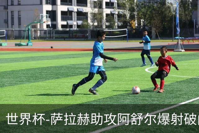 世界杯-萨拉赫助攻阿舒尔爆射破门 埃及半场1-0比利时