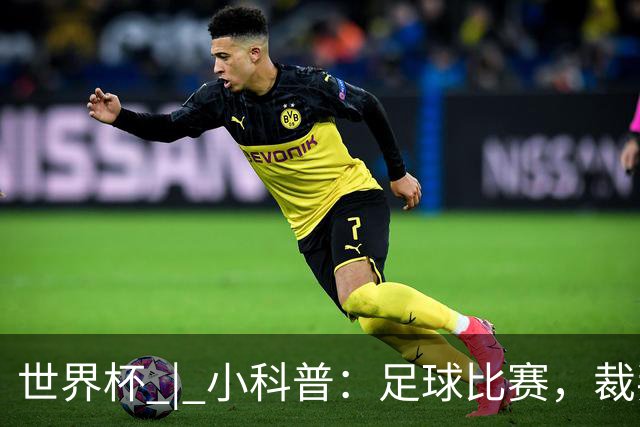世界杯 | 小科普：足球比赛，裁判也会抽筋？