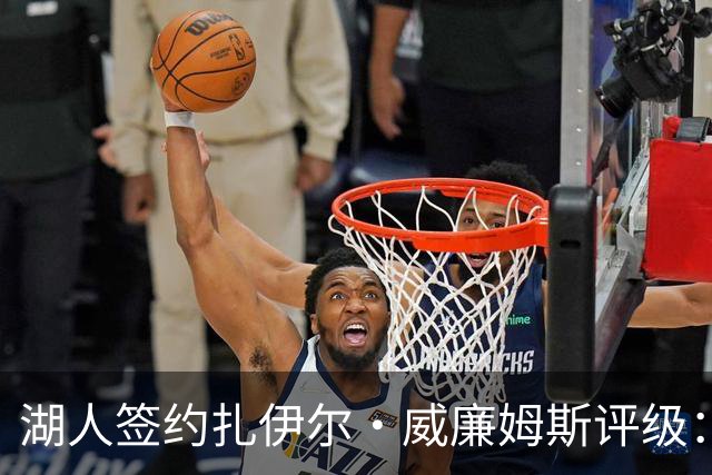 湖人签约扎伊尔·威廉姆斯评级：A- 东契奇喜欢不渴望球权的球员
