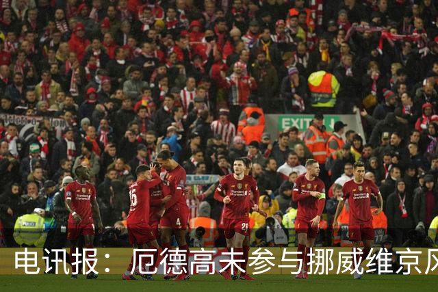 电讯报：厄德高未参与挪威维京风合照拍摄，随后补拍被添加进照片