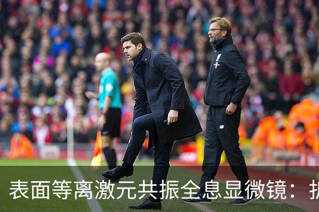 表面等离激元共振全息显微镜：折射率与厚度测量的新突破