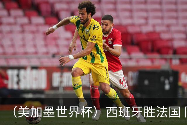 （美加墨世界杯）西班牙胜法国 队史第二次闯入世界杯决赛